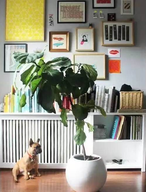 ů��Ƭ���b,ů��Ƭ