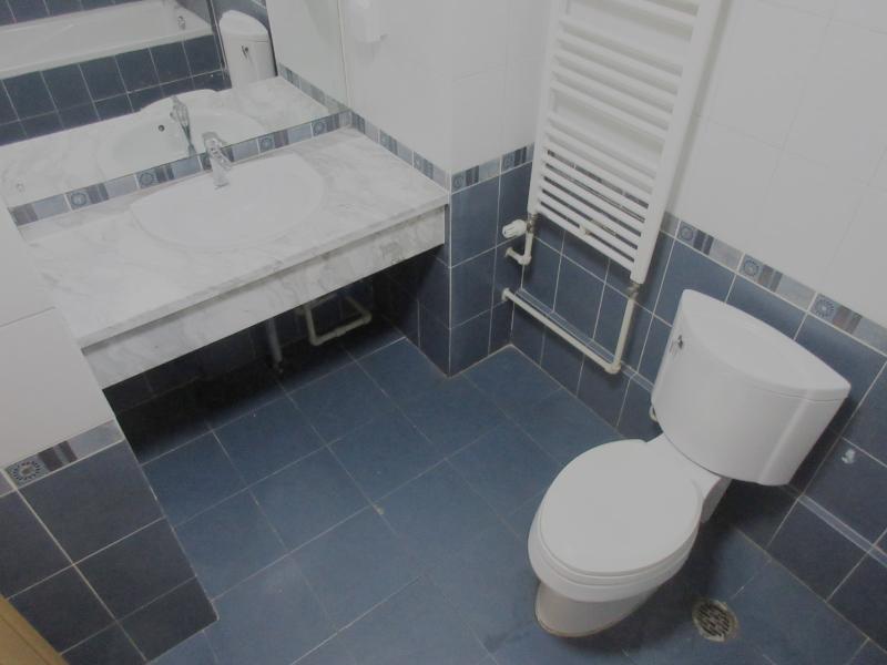 暖氣片十大品牌,鋼制散熱器